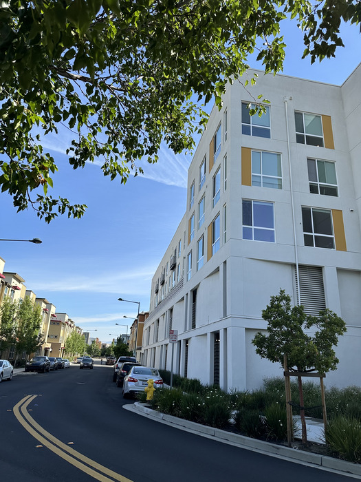 Project Image 18